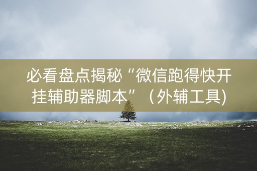 必看盘点揭秘“微信跑得快开挂辅助器脚本”（外辅工具)