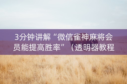 3分钟讲解“微信雀神麻将会员能提高胜率”（透明器教程)
