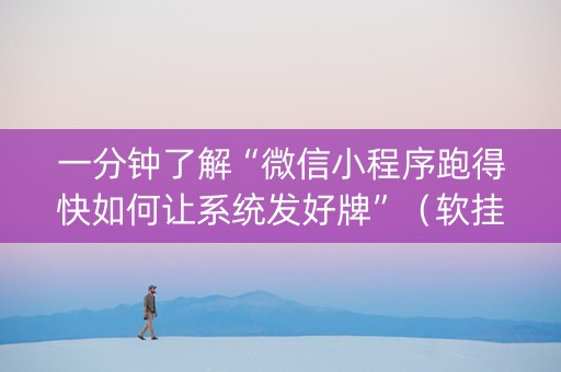 一分钟了解“微信小程序跑得快如何让系统发好牌”（软挂神器)