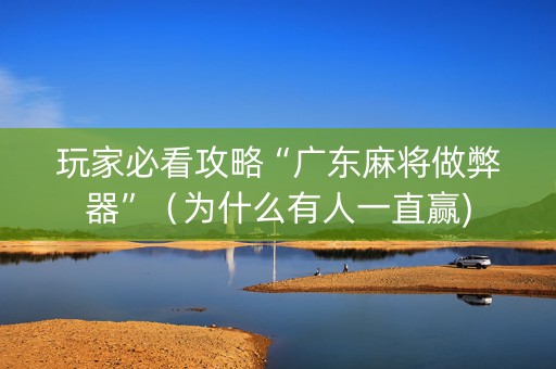 玩家必看攻略“广东麻将做弊器”（为什么有人一直赢)