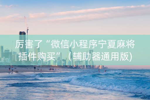 厉害了“微信小程序宁夏麻将插件购买”（辅助器通用版)