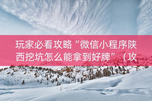 玩家必看攻略“微信小程序陕西挖坑怎么能拿到好牌”（攻略插件)