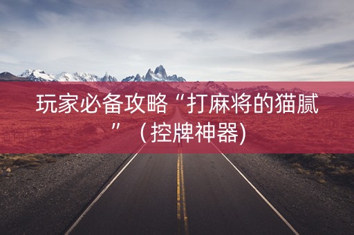 玩家必备攻略“打麻将的猫腻”（控牌神器)