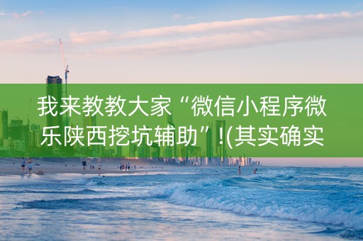 我来教教大家“微信小程序微乐陕西挖坑辅助”!(其实确实有挂)-知乎