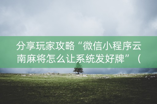 分享玩家攻略“微信小程序云南麻将怎么让系统发好牌”（万能开挂神器)