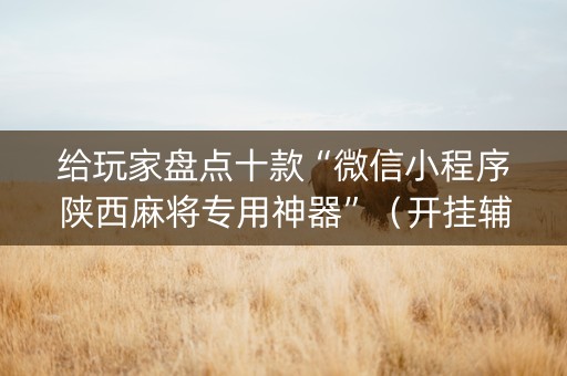 给玩家盘点十款“微信小程序陕西麻将专用神器”（开挂辅助脚本)