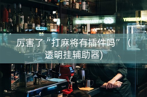 厉害了“打麻将有插件吗”（透明挂辅助器)