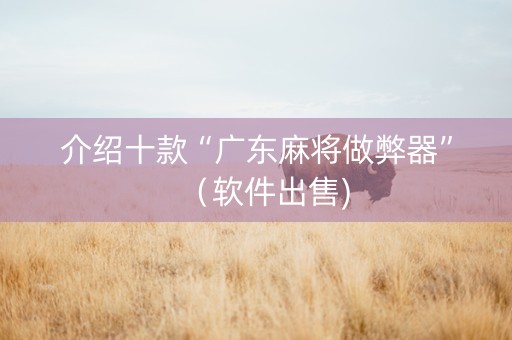 介绍十款“广东麻将做弊器”（软件出售)