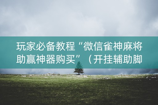 玩家必备教程“微信雀神麻将助赢神器购买”（开挂辅助脚本)