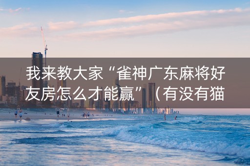我来教大家“雀神广东麻将好友房怎么才能赢”（有没有猫腻)