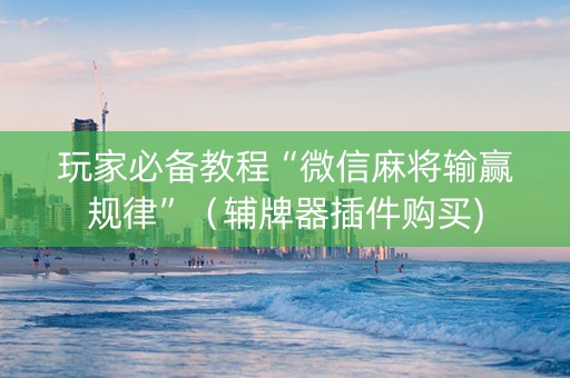 玩家必备教程“微信麻将输赢规律”（辅牌器插件购买)