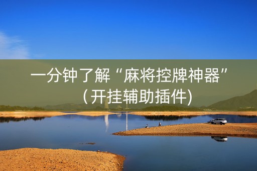 一分钟了解“麻将控牌神器”（开挂辅助插件)