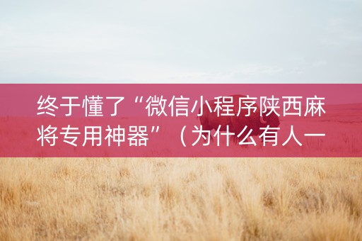 终于懂了“微信小程序陕西麻将专用神器”（为什么有人一直赢)
