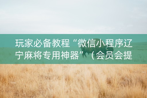 玩家必备教程“微信小程序辽宁麻将专用神器”（会员会提高胜率吗)