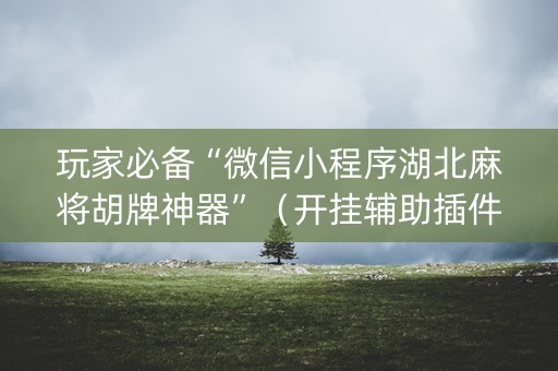 玩家必备“微信小程序湖北麻将胡牌神器”（开挂辅助插件)