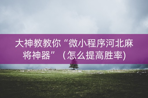 大神教教你“微小程序河北麻将神器”（怎么提高胜率)