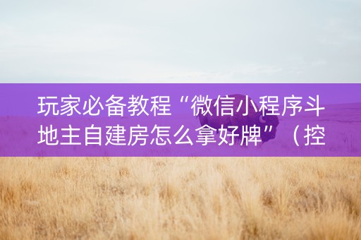 玩家必备教程“微信小程序斗地主自建房怎么拿好牌”（控牌神器)