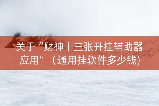 关于“财神十三张开挂辅助器应用”（通用挂软件多少钱)