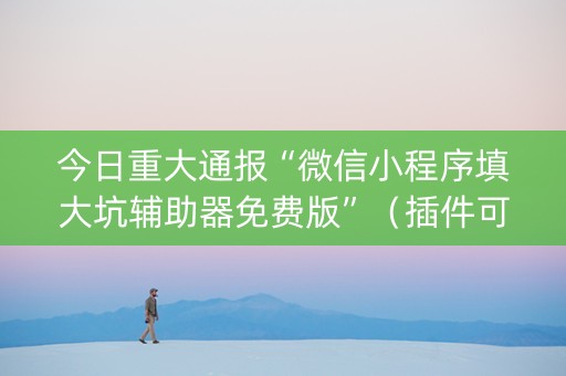 今日重大通报“微信小程序填大坑辅助器免费版”（插件可信吗)