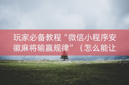 玩家必备教程“微信小程序安徽麻将输赢规律”（怎么能让牌好一点)