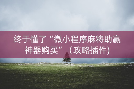 终于懂了“微小程序麻将助赢神器购买”（攻略插件)