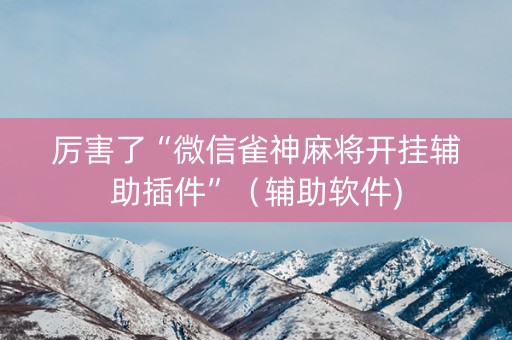 厉害了“微信雀神麻将开挂辅助插件”（辅助软件)