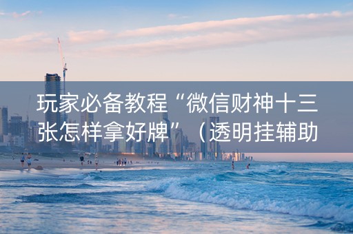 玩家必备教程“微信财神十三张怎样拿好牌”（透明挂辅助器)