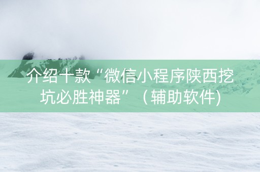 介绍十款“微信小程序陕西挖坑必胜神器”（辅助软件)