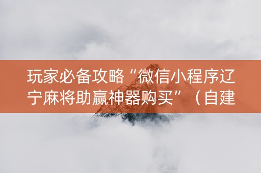 玩家必备攻略“微信小程序辽宁麻将助赢神器购买”（自建房怎么拿好牌)