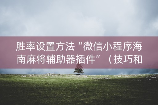 胜率设置方法“微信小程序海南麻将辅助器插件”（技巧和打好牌方法)