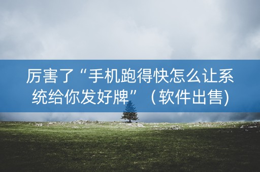 厉害了“手机跑得快怎么让系统给你发好牌”（软件出售)
