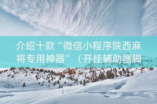 介绍十款“微信小程序陕西麻将专用神器”（开挂辅助器脚本)
