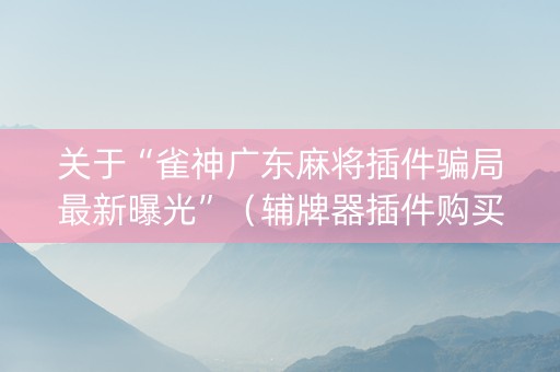 关于“雀神广东麻将插件骗局最新曝光”（辅牌器插件购买)