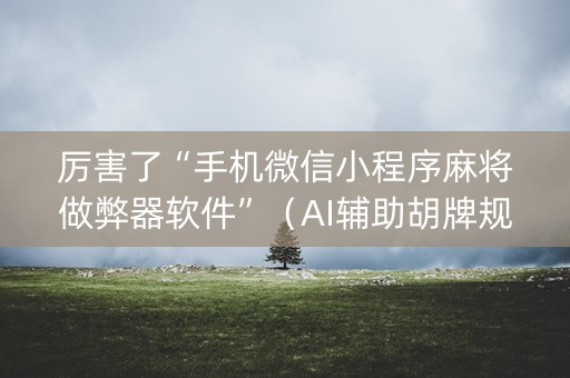 厉害了“手机微信小程序麻将做弊器软件”（AI辅助胡牌规则)