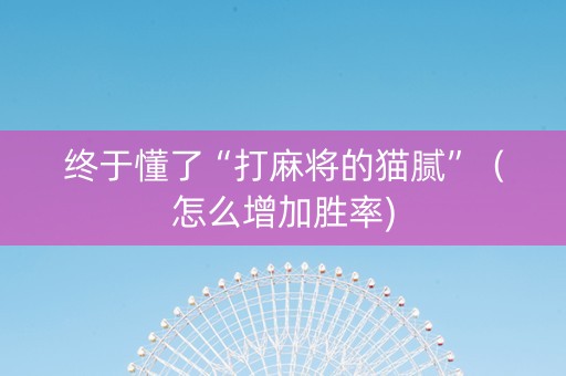 终于懂了“打麻将的猫腻”（怎么增加胜率)