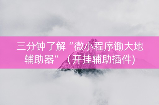 三分钟了解“微小程序锄大地辅助器”（开挂辅助插件)