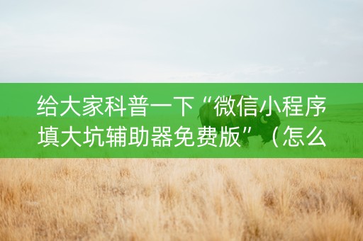 给大家科普一下“微信小程序填大坑辅助器免费版”（怎么能调好牌)