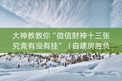 大神教教你“微信财神十三张究竟有没有挂”（自建房胜负规律)