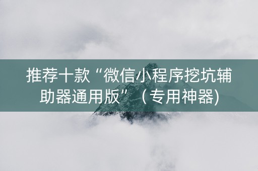 推荐十款“微信小程序挖坑辅助器通用版”（专用神器)