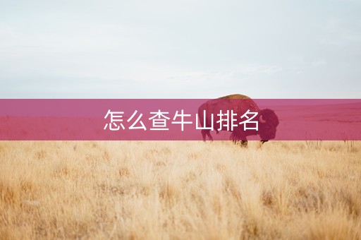 怎么查牛山排名