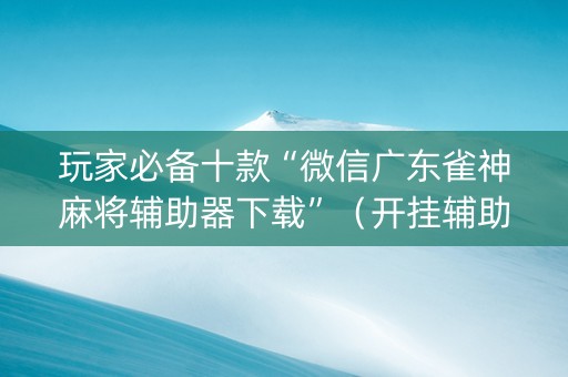 玩家必备十款“微信广东雀神麻将辅助器下载”（开挂辅助插件)