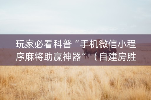 玩家必看科普“手机微信小程序麻将助赢神器”（自建房胜负规律)