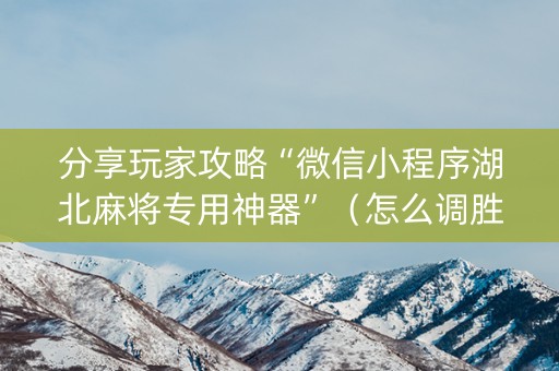 分享玩家攻略“微信小程序湖北麻将专用神器”（怎么调胜率)