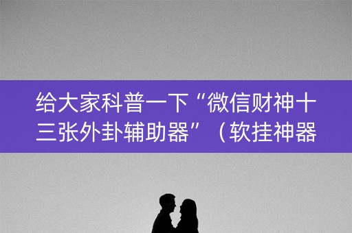 给大家科普一下“微信财神十三张外卦辅助器”（软挂神器)