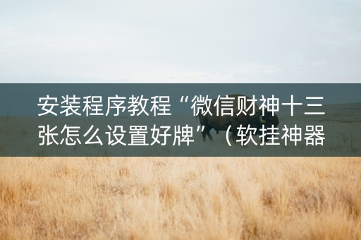 安装程序教程“微信财神十三张怎么设置好牌”（软挂神器)