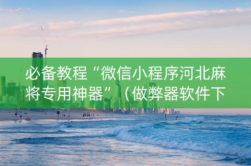 必备教程“微信小程序河北麻将专用神器”（做弊器软件下载)