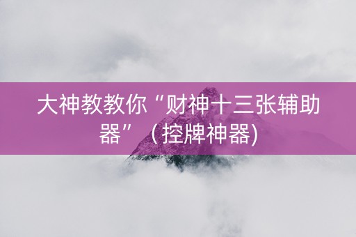 大神教教你“财神十三张辅助器”（控牌神器)