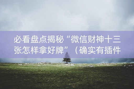 必看盘点揭秘“微信财神十三张怎样拿好牌”（确实有插件吗)