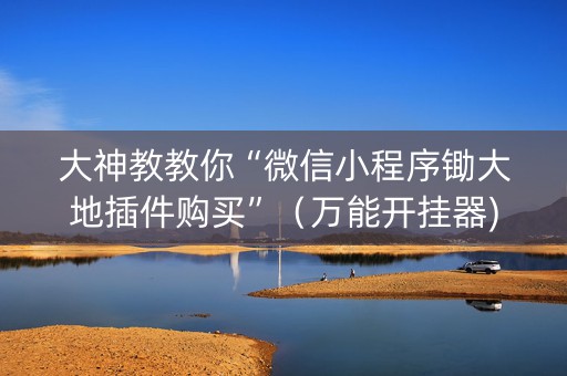 大神教教你“微信小程序锄大地插件购买”（万能开挂器)