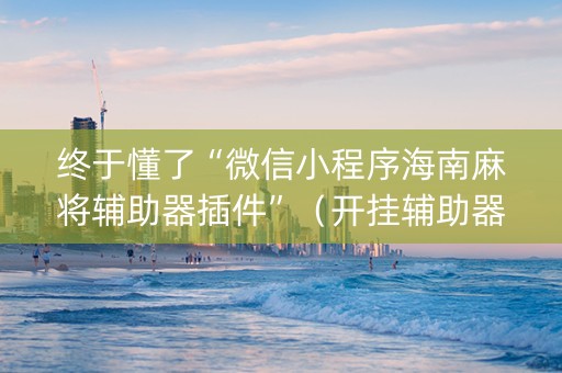 终于懂了“微信小程序海南麻将辅助器插件”（开挂辅助器脚本)